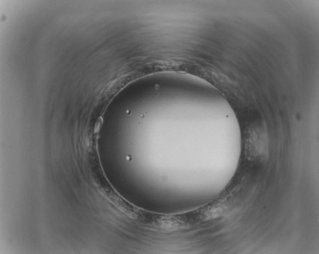 X0000063500608200601231439