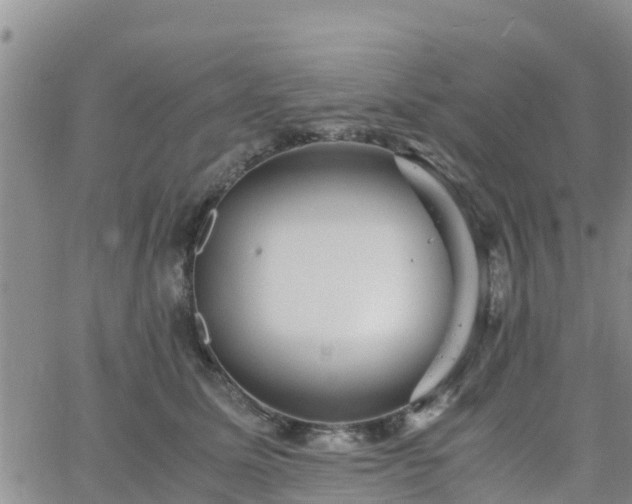 X0000063500611200601231439