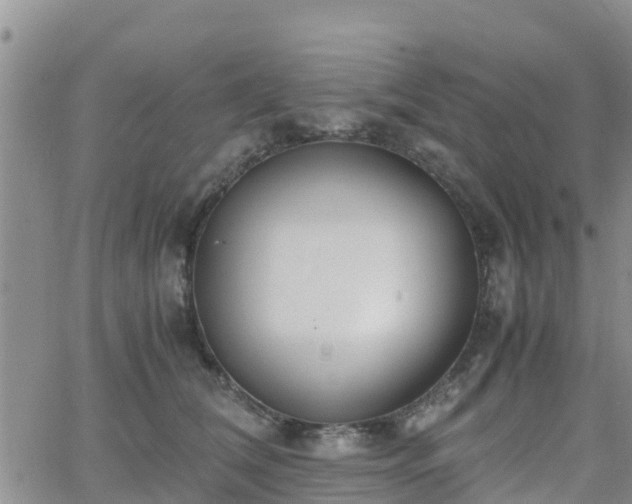 X0000063500612200601231439