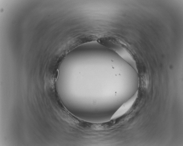 X0000063500613200601231439