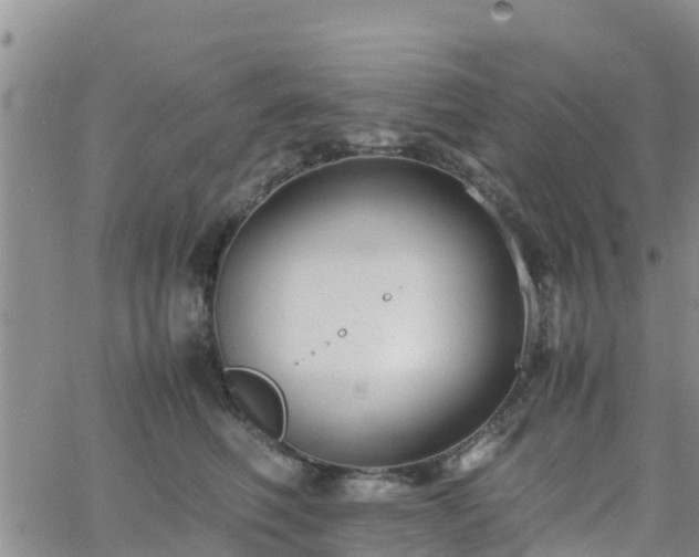 X0000063500614200601231439