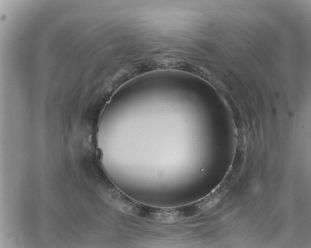 X0000063500615200601231439