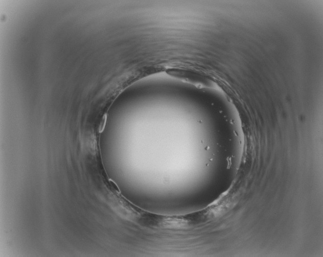 X0000063500617200601231439