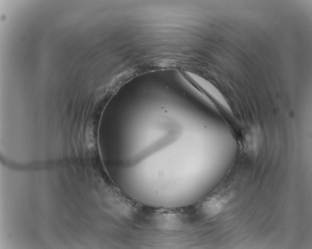 X0000063500620200601231439