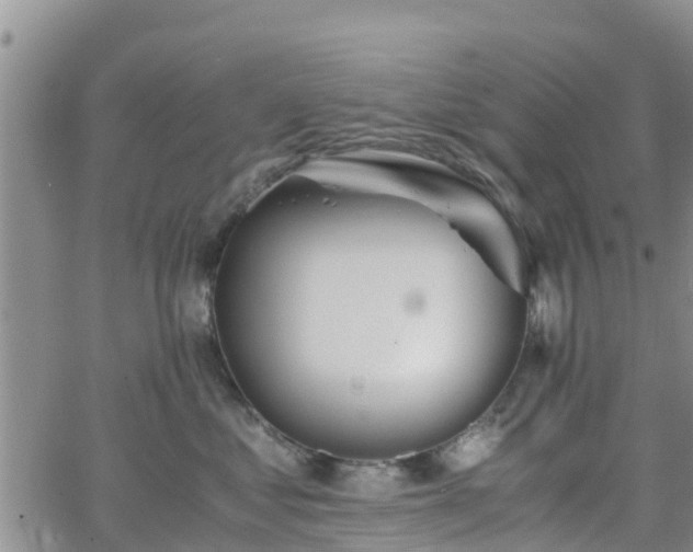 X0000063500621200601231439