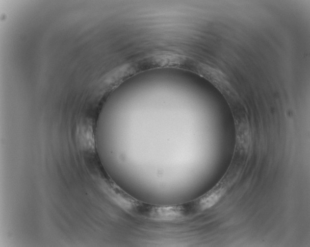 X0000063500622200601231439