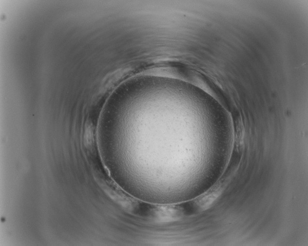 X0000063500623200601231439