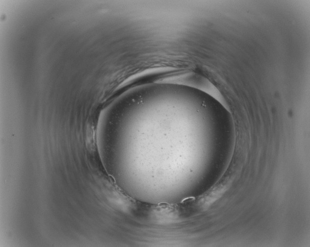 X0000063500624200601231439