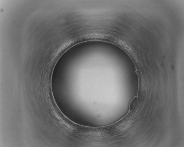 X0000063500625200601231438