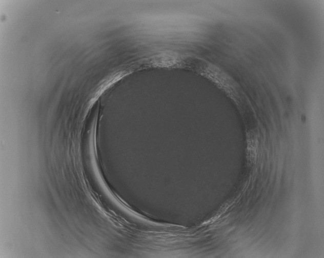 X0000063500626200601231438