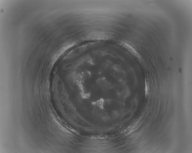 X0000063500627200601231438