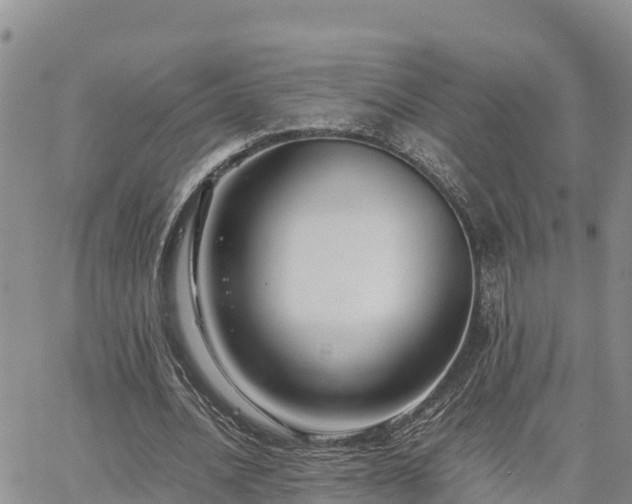 X0000063500628200601231438