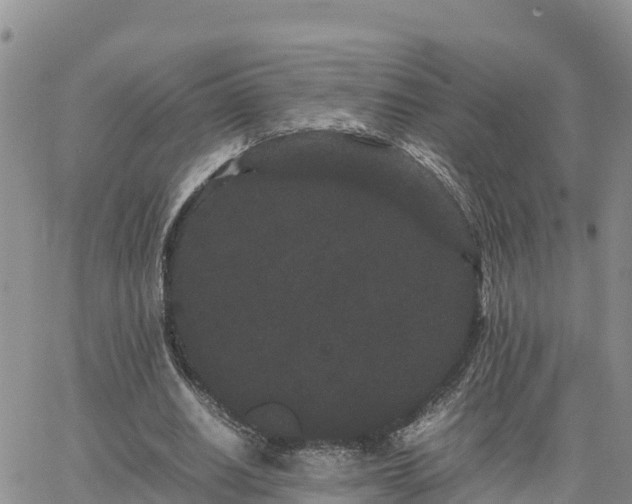 X0000063500630200601231438