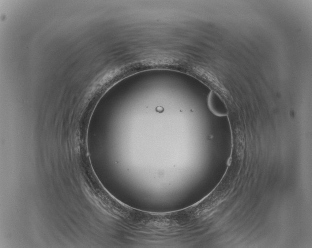 X0000063500631200601231438