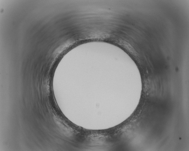 X0000063500632200601231438