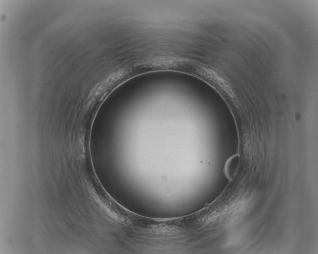 X0000063500633200601231438