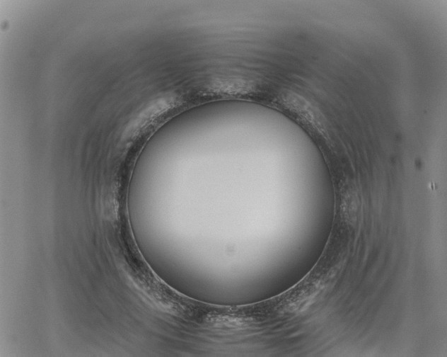 X0000063500635200601231438