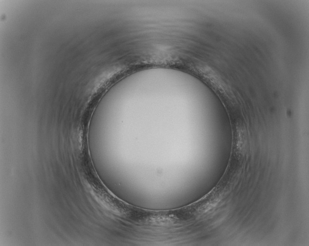 X0000063500636200601231438