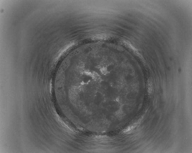 X0000063500637200601231438