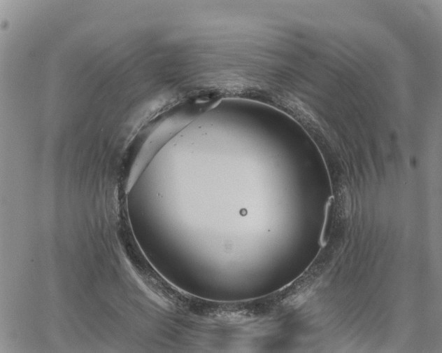 X0000063500638200601231438