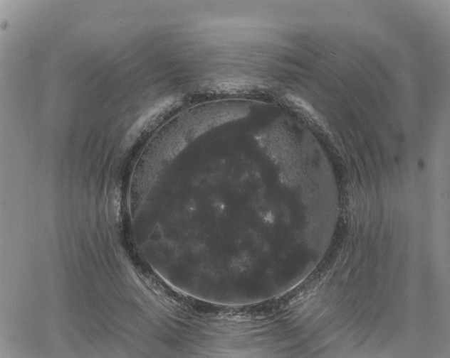 X0000063500640200601231438