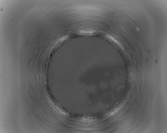 X0000063500641200601231438