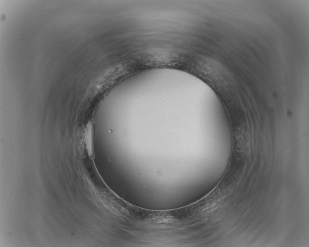 X0000063500642200601231438