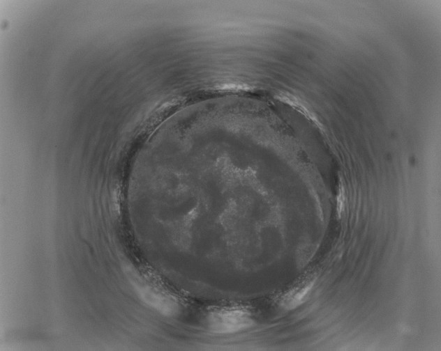 X0000063500643200601231438