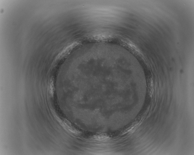 X0000063500644200601231438