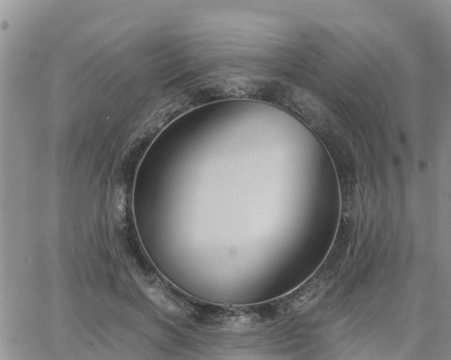 X0000063500646200601231438