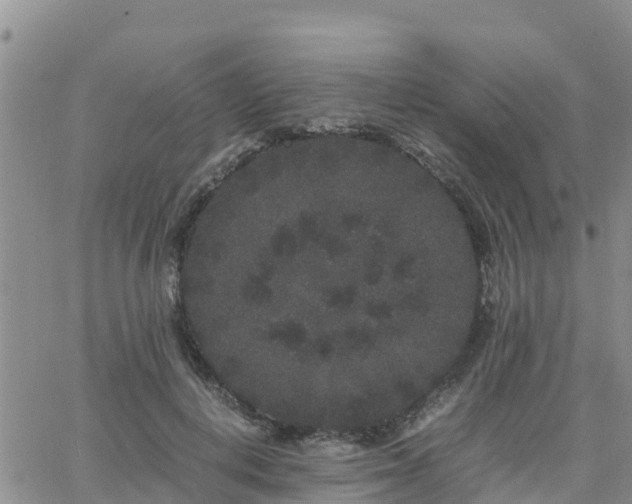 X0000063500648200601231438