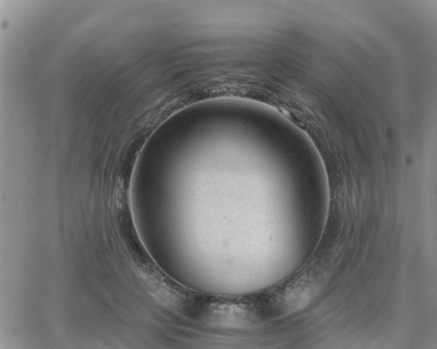 X0000063500649200601231438