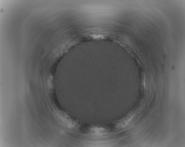 X0000063500650200601231438