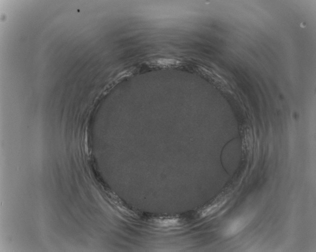 X0000063500651200601231438