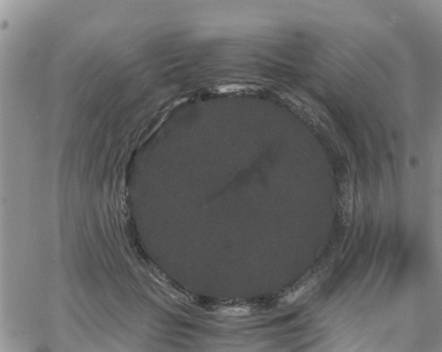 X0000063500653200601231438