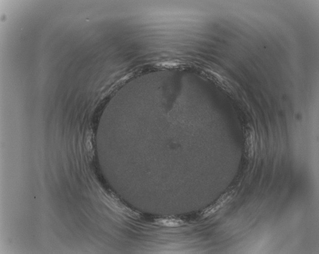 X0000063500654200601231438