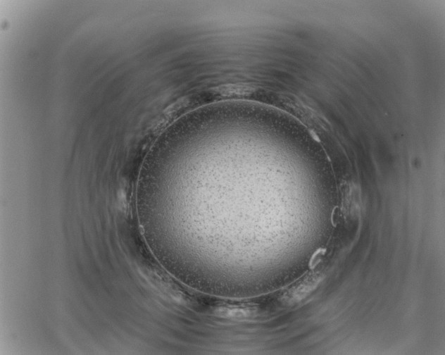 X0000063500655200601231438