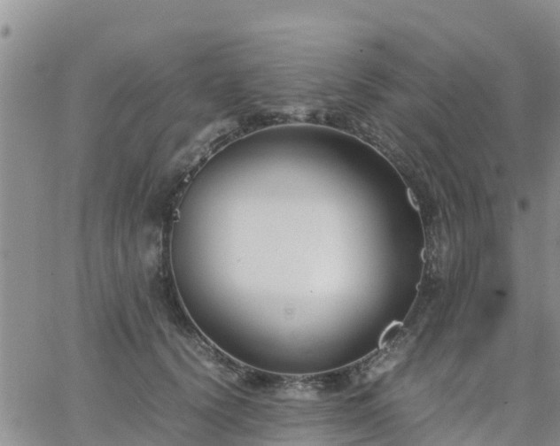 X0000063500656200601231438