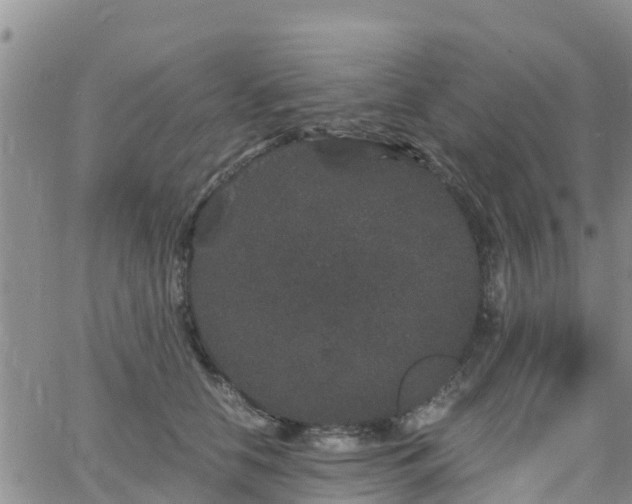 X0000063500658200601231438