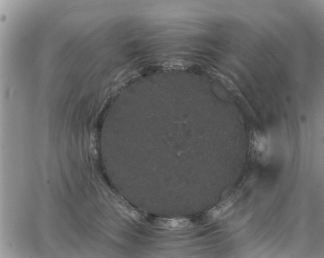 X0000063500663200601231438