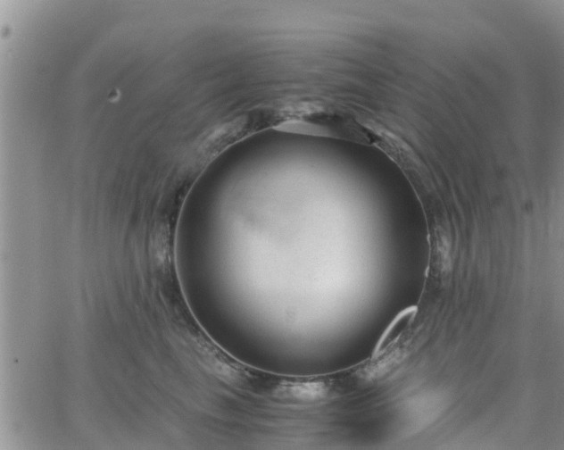 X0000063500665200601231438