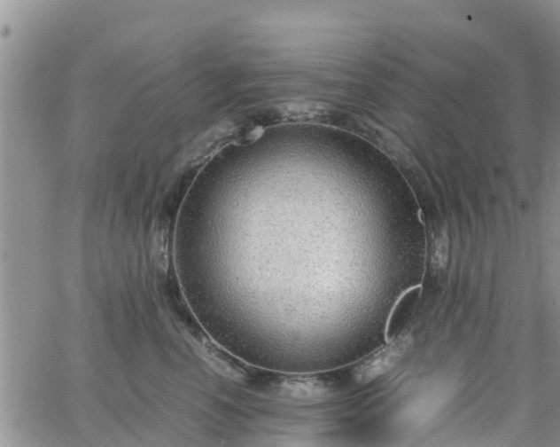 X0000063500666200601231438