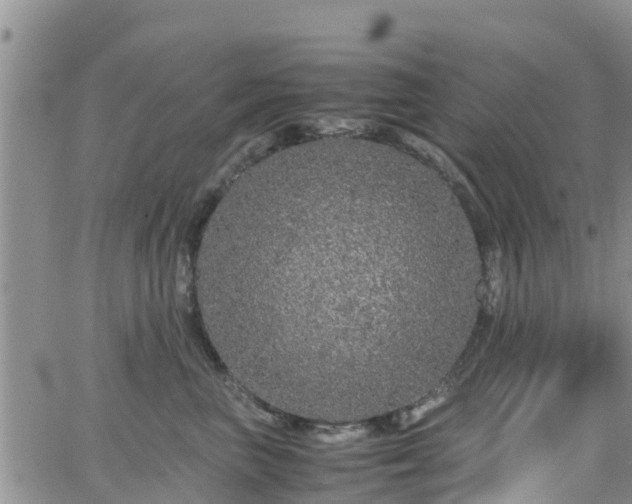 X0000063500667200601231438