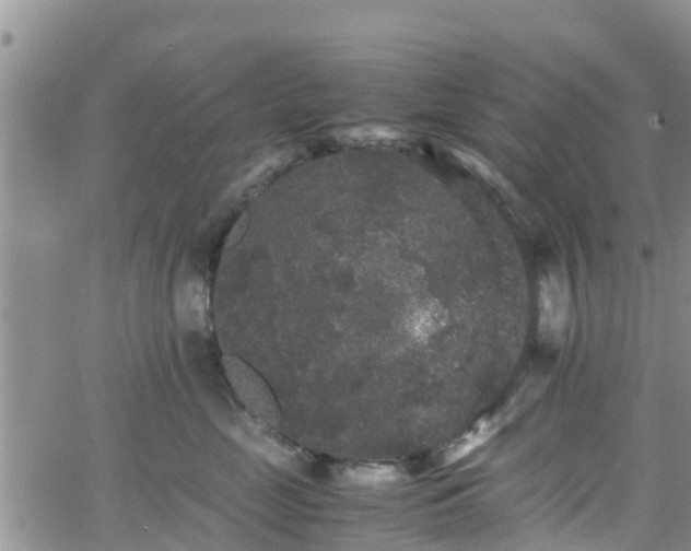 X0000063500669200601231438