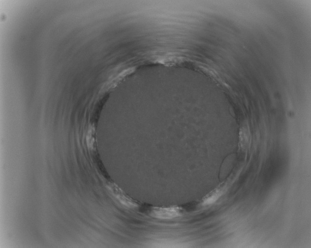 X0000063500671200601231438