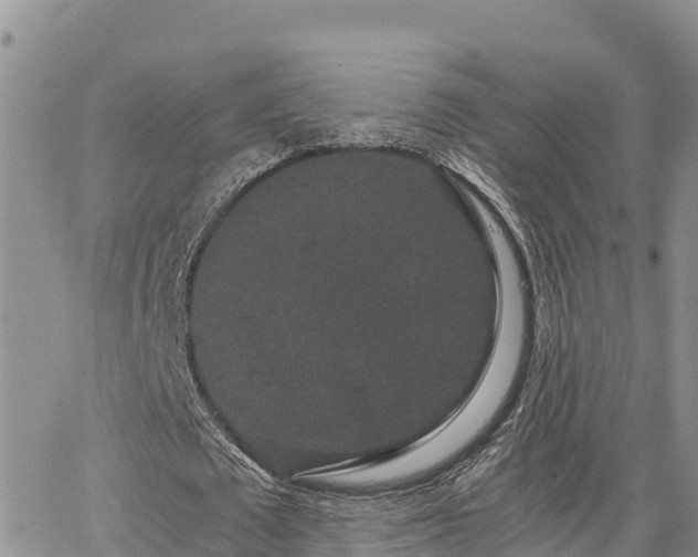 X0000063500673200601231438