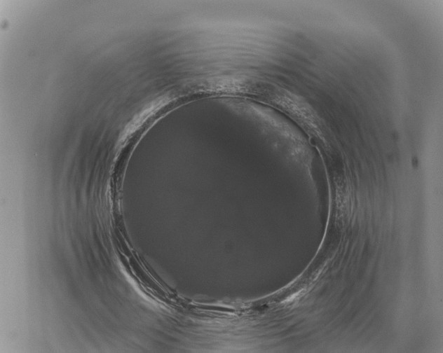 X0000063500674200601231438