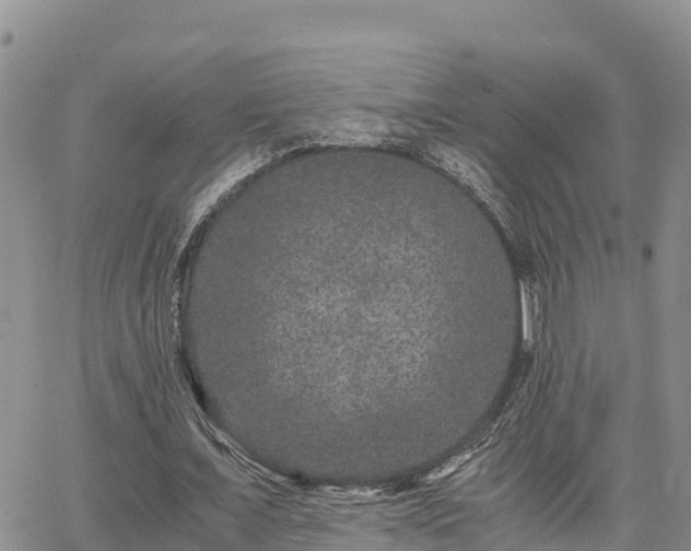 X0000063500675200601231438