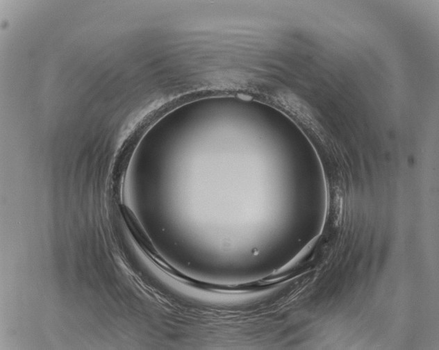 X0000063500676200601231438