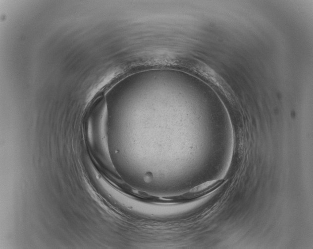 X0000063500677200601231438